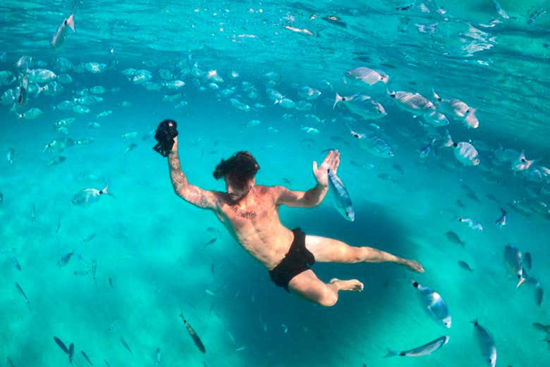 Nadando entre os peixes em Ibiza