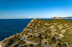 Balade en bateau sur l'île de Conejera + snorkeling