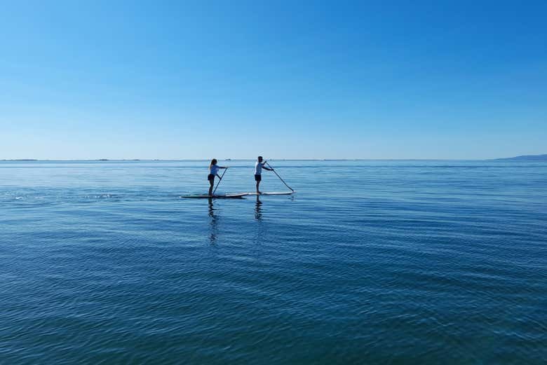 Paddle surf en San Carlos de la Rápita
