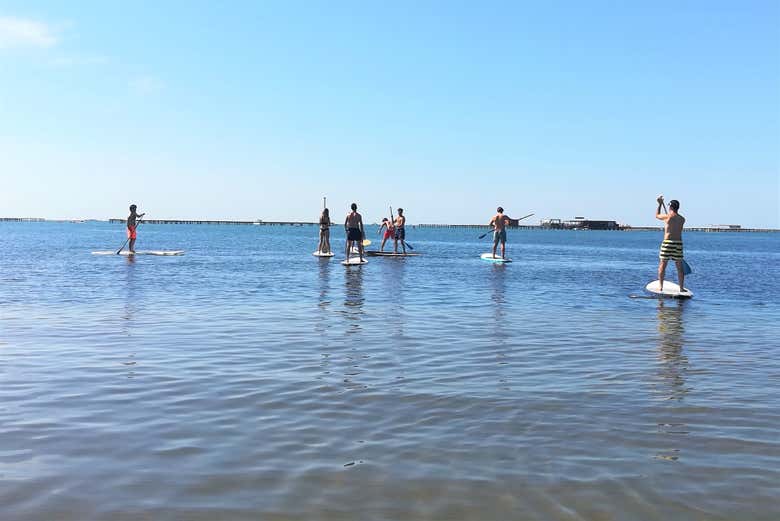 Experiencia de paddle surf por las mejilloneras
