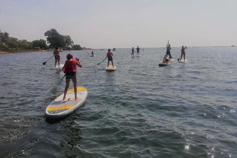 Navegando por el Delta del Ebro