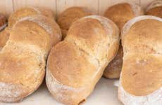 Visita a un obrador de pan de Cea