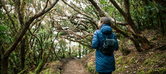 Anaga Rural Park Hike