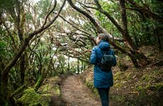 Anaga Rural Park Hike