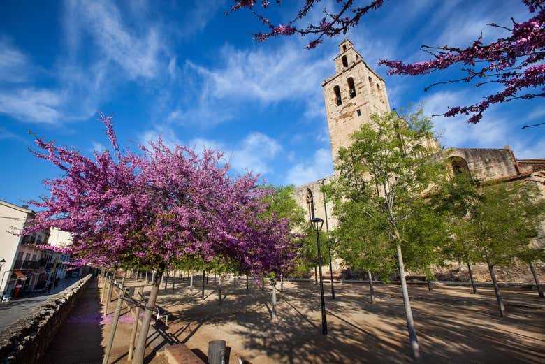 Jardins do mosteiro de Sant Cugat