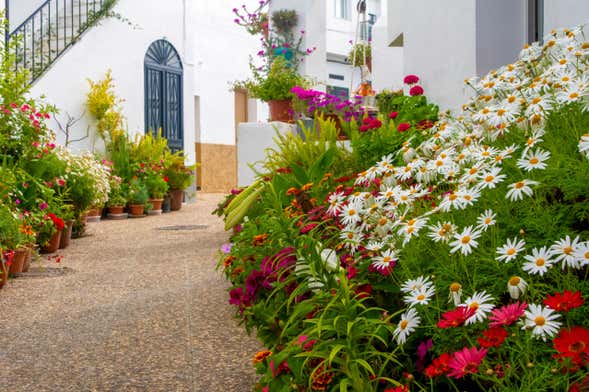 Excursión a Vejer y Conil de la Frontera