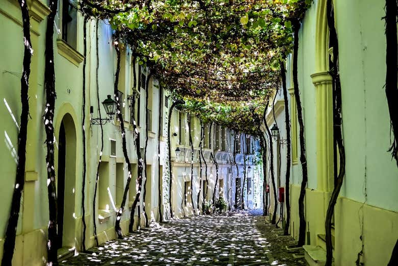 Una via di Jerez de la Frontera