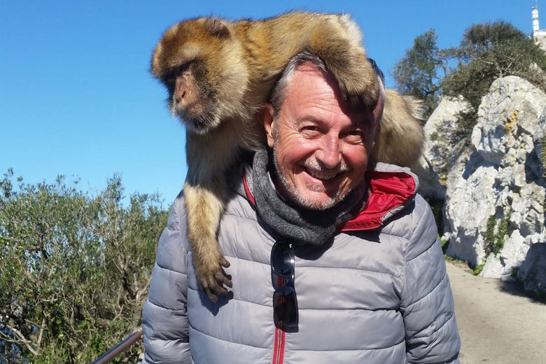 Junto a um macaco de Gibraltar