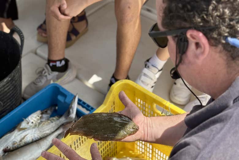 La pesca del día