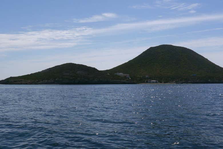 La isla Grosa alberga una gran biodiversidad