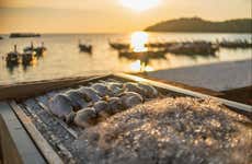 Pesca en el Mar Menor