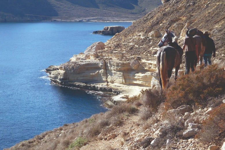 Um cavalo contemplando as vistas do Cabo de Gata