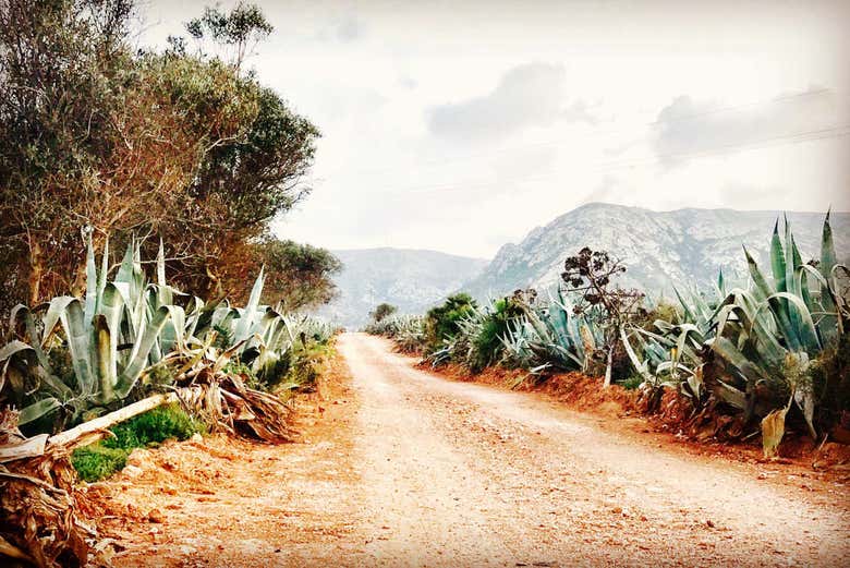 Desfrutando da excursão