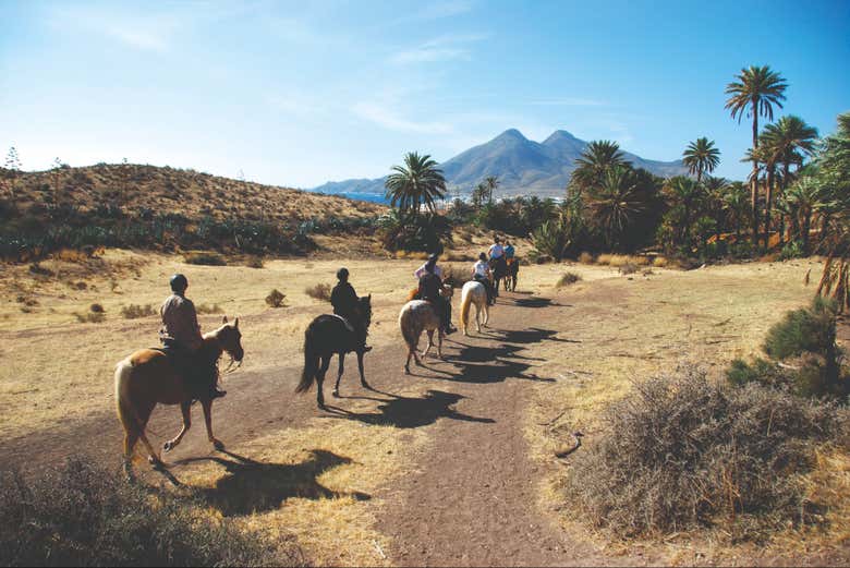 Entering the genoveses beach on horseback