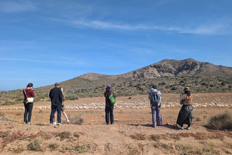 ¡Bienvenidos al tour por las playas de Mónsul y los Genoveses!