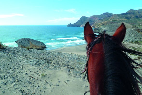 Passeggiata a cavallo fino alla Playa de los Genoveses