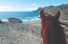 Paseo a caballo por el Cabo de Gata
