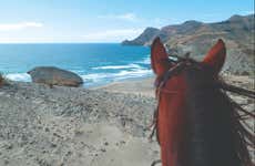Horse riding experience in El Cabo de Gata