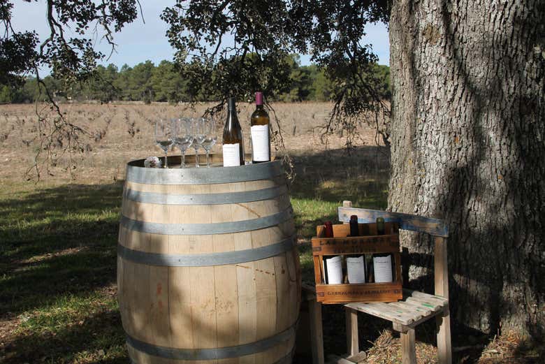 Cata de vino en la bodega