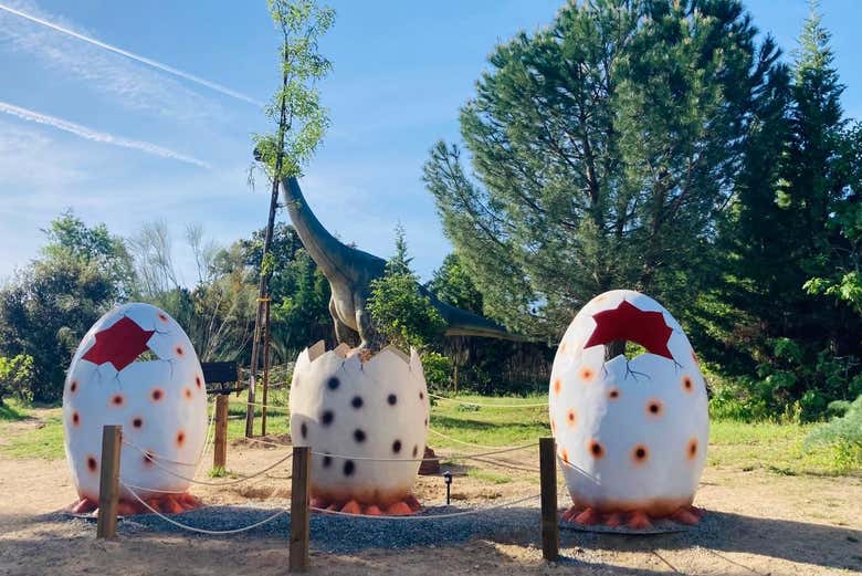 Huevos de dinosaurio