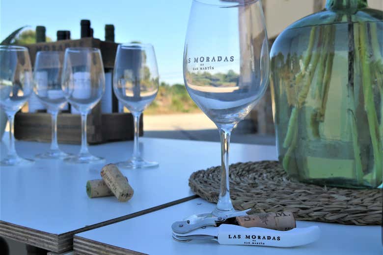 Descubriendo el vino de Madrid