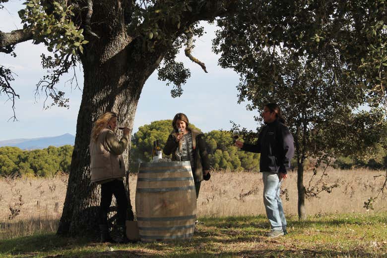 Conociendo las peculiaridades del vino de Madrid