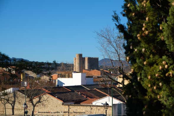 Tour por San Martín de Valdeiglesias con comida