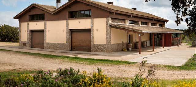 Visita a la bodega Las Moradas de San Martín