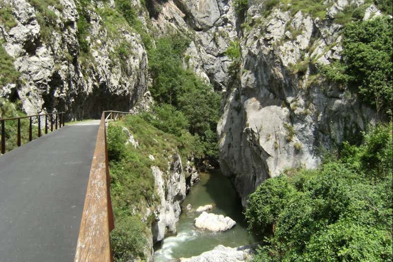Pedal among mountains