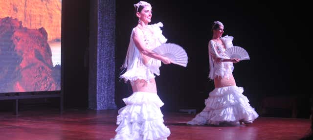 Flamenco Show in Castillo de San Miguel