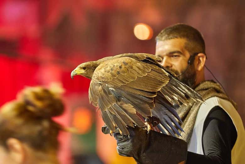 Vous pourrez assister à un spectacle d'oiseaux