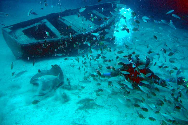 Disfrutando del fondo marino del Atlántico desde el submarino