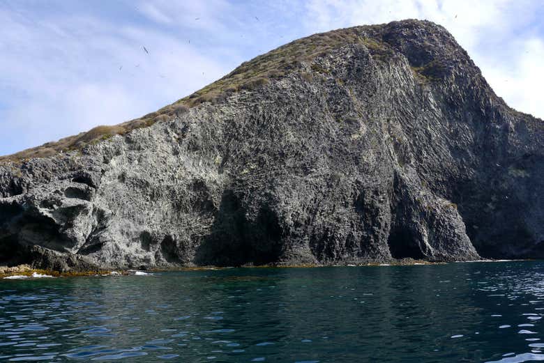 La isla Grosa es una Zona de Especial Protección para las Aves
