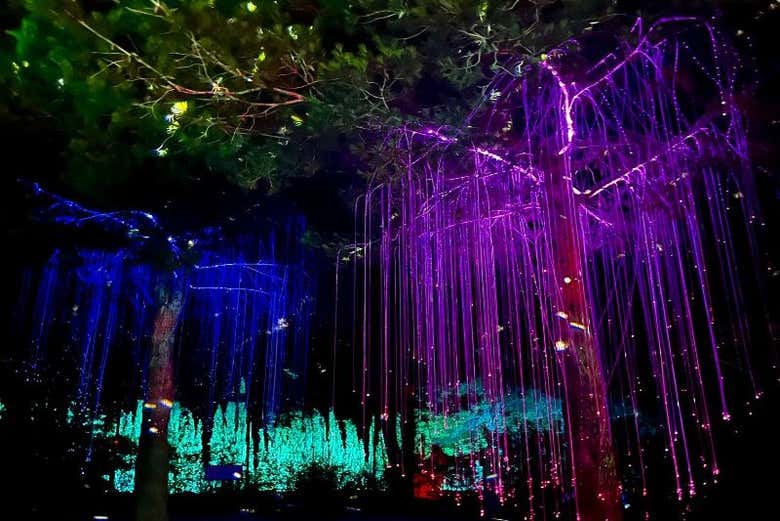 Il BIBO PARK illuminato