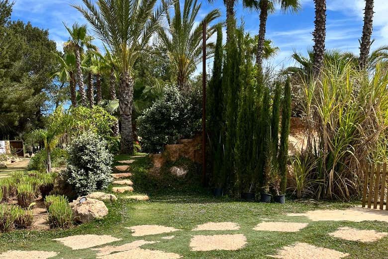 Dettaglio del giardino del BIBO PARK