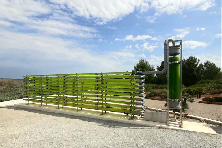 Photobioreactor