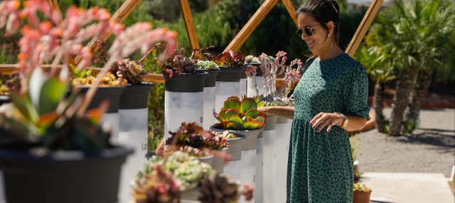 Visita guidata al BIBO PARK Ibiza Botánico Biotecnologico