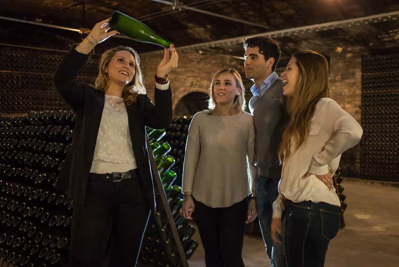 Visita guidata alle cantine
