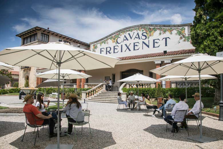 Zona di degustazione esterna