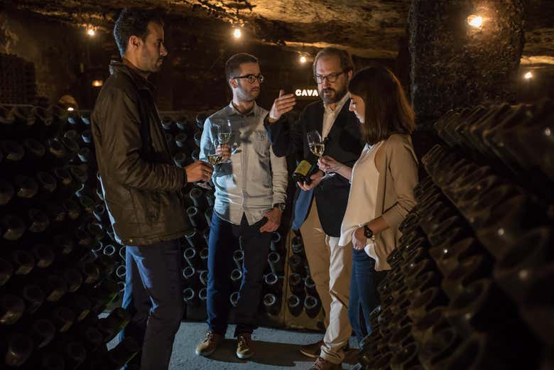 Tour delle cantine