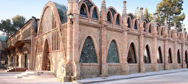 Visita a la bodega Codorníu