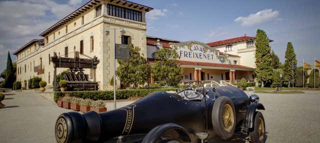 Visita a la bodega Freixenet