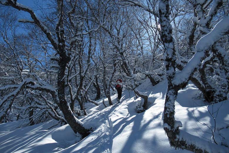 Parc Naturel de Somiedo