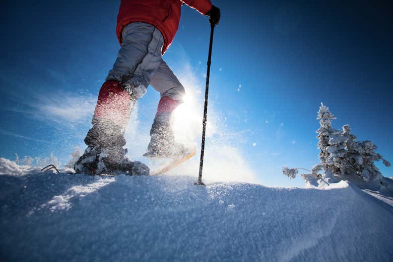Balade en raquettes à neige