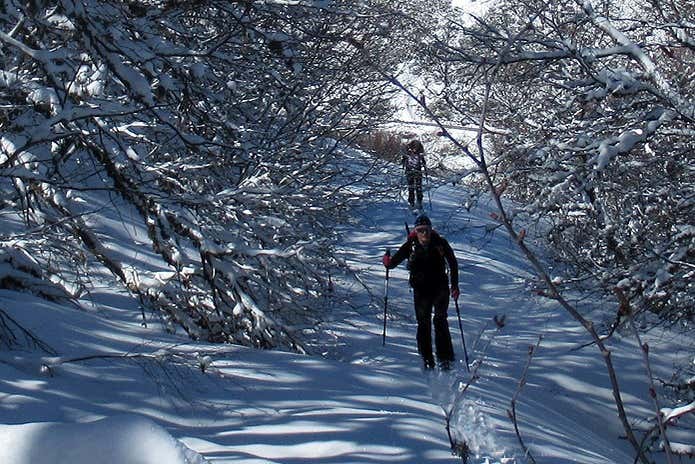 Recorriendo el parque en raquetas de nieve