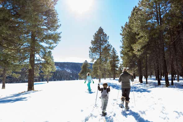 Paseo con raquetas de nieve por el Parque Natural de Somiedo