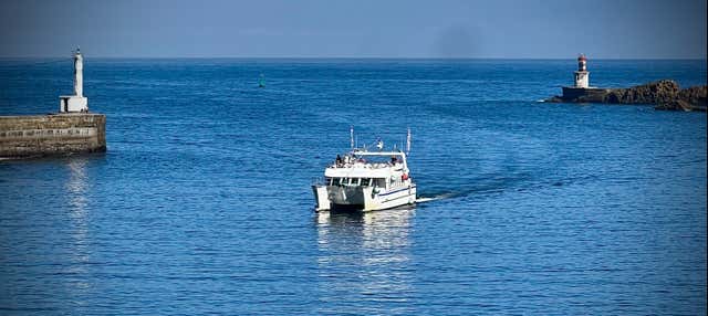 Paseo en barco a Pasajes + Entrada al Museo Factoría Albaola