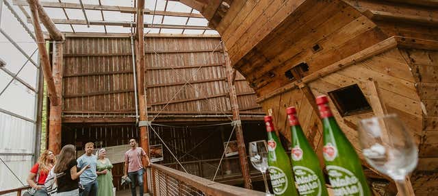 Excursión a Albaola + Visita a una sidrería vasca