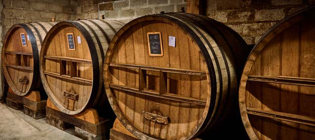 Excursión a una sidrería vasca