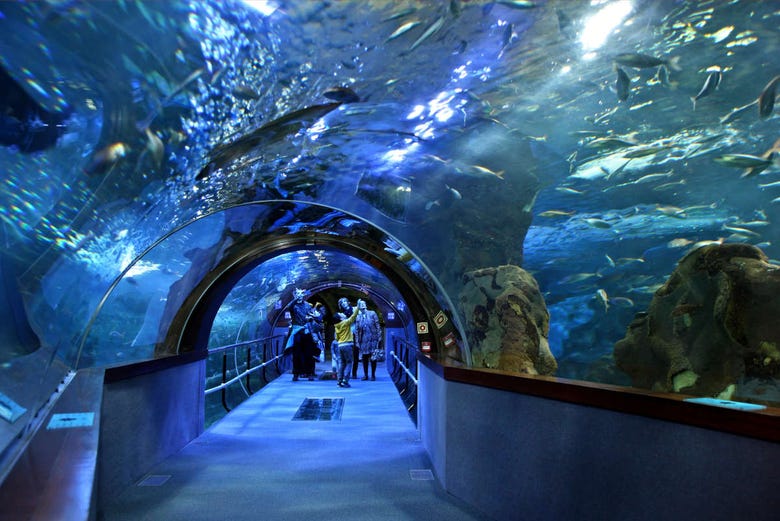 Aquarium de San Sebastián